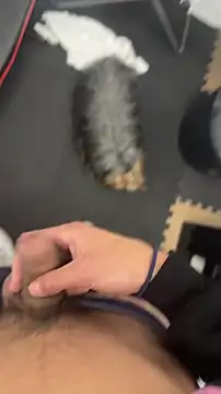 findomhot online show from November 5, 9:04 pm