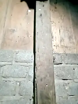 Noelle-e online show from March 9, 12:42 pm