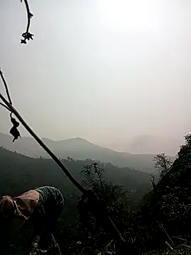 Phoena-a online show from April 3, 2:20 am