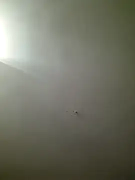 Snapshot of HarrySchwanz1000 chatting on October 27, 2:59 am HarrySchwanz1000 online show from October 27, 2:59 am