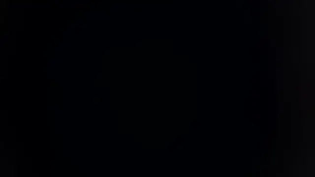 palakmishra033 online show from February 12, 4:02 pm