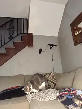 mattiethebaddieee online show from March 21, 2:38 am