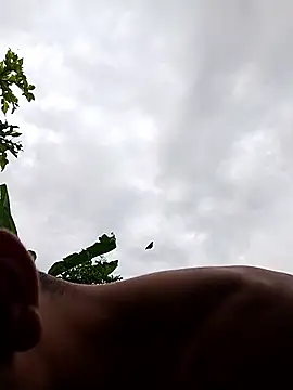 Snapshot of Alex_Sweeting chatting on January 12, 8:47 pm Alex Sweeting online show from January 12, 8:47 pm