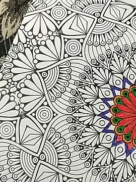 bigtelugubhama online show from November 15, 4:25 pm