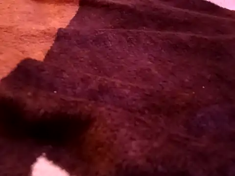 bigtelugubhama online show from February 7, 8:23 pm