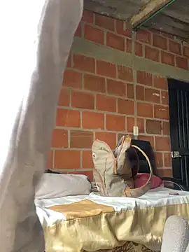 wild best online show from February 27, 1:22 pm