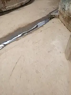 Pandey0012 online show from October 28, 2:26 am