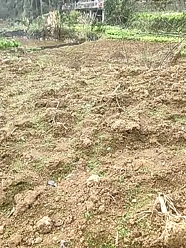 tian7788 online show from February 17, 3:03 am