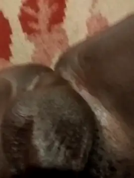 Reajune2001 online show from April 20, 2:09 pm