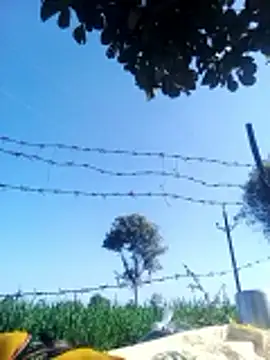 Sangita k online show from December 20, 5:36 am