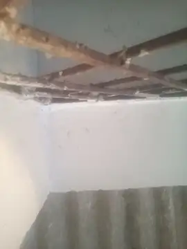 Pallu Asha online show from March 15, 1:22 am