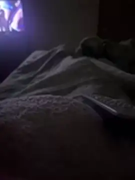 gatitaamelosaa7 online show from February 24, 2:53 am