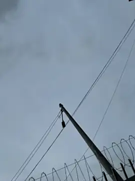 Snapshot of Samantha_firee chatting on April 13, 11:16 am Samantha firee online show from April 13, 11:16 am