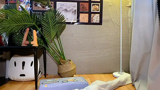 0xiaosu0 online show from January 16, 3:32 am