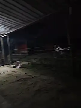 taylor1991V online show from December 1, 11:43 pm