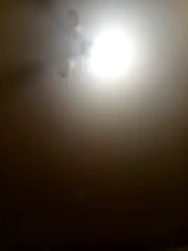 Niesmialyy online show from February 16, 8:16 pm