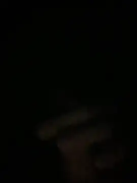 Manfredini607452 online show from November 26, 12:44 am