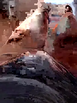 Snapshot of Vanja33 chatting on November 3, 3:35 pm Vanja33 online show from November 3, 3:35 pm