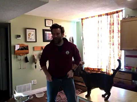 RockHammercock online show from January 15, 5:16 pm