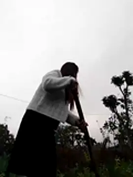 Qoine392 online show from December 20, 1:34 am