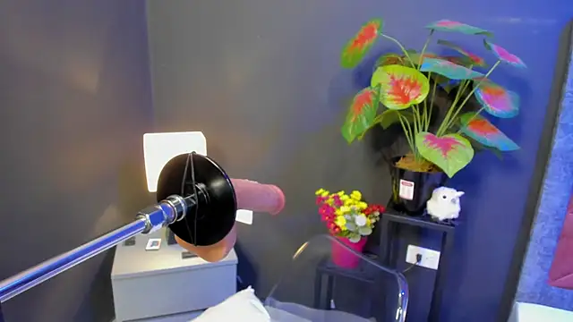 Amy whittee online show from April 12, 3:44 am