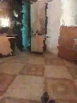 7obi 7obi online show from November 21, 2:38 pm