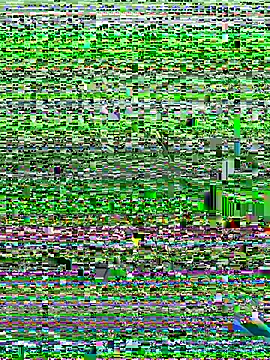 Kobhaktabhay online show from November 8, 4:56 am