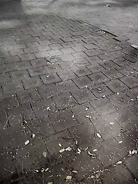 Javierba18301bak online show from January 9, 9:23 am