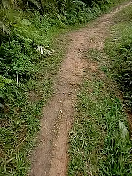 Cloud-wh online show from February 24, 3:37 am