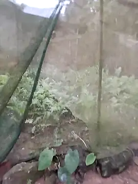 Snapshot of gugu0022 chatting on February 25, 11:25 pm gugu0022 online show from February 25, 11:25 pm