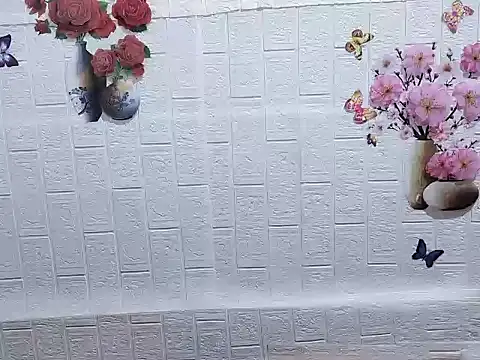 Snapshot of Site-loe chatting on February 14, 1:13 am Site-loe online show from February 14, 1:13 am