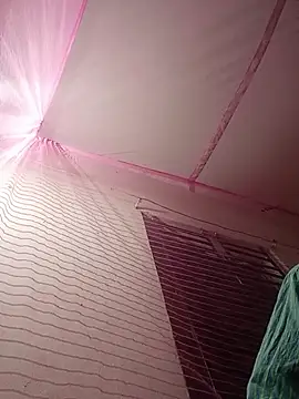 Hor-reka online show from November 23, 4:51 pm