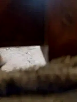 Lucky-688 online show from July 6, 2:47 pm