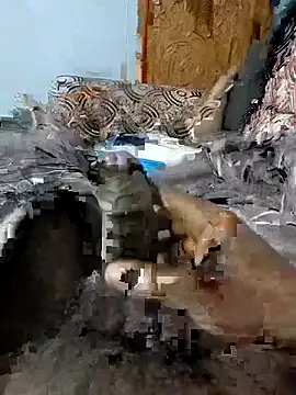 Snapshot of spermc chatting on February 6, 4:10 pm spermc online show from February 6, 4:10 pm