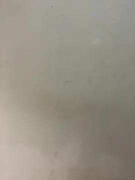 bigass256 online show from February 14, 5:04 am