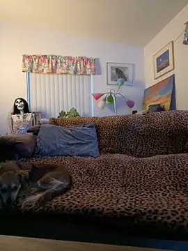 tsashelayamylynzy online show from November 18, 12:38 am