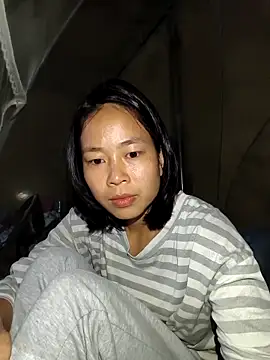 Cat-meow online show from November 24, 1:00 pm