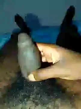 dicksosmall online show from November 21, 7:12 pm