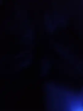 starnighcouple online show from July 10, 7:38 pm