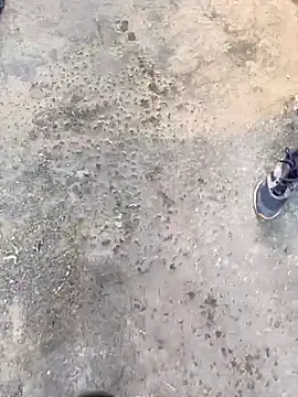 Snapshot of Playboy_pune_ chatting on November 19, 10:04 am Playboy pune online show from November 19, 10:04 am