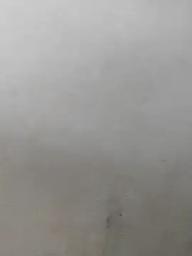 Snapshot of fpic chatting on February 7, 4:22 pm fpic online show from February 7, 4:22 pm