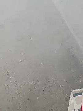 Snapshot of fpic chatting on February 9, 4:44 pm fpic online show from February 9, 4:44 pm