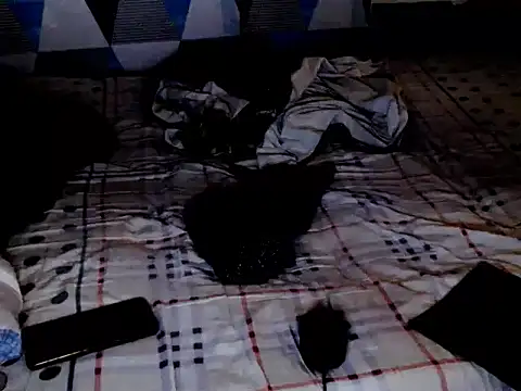 Snapshot of Savannah_Cock chatting on February 15, 2:08 am Savannah Cock online show from February 15, 2:08 am