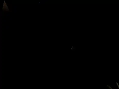 Snapshot of Savannah_Cock chatting on February 23, 1:03 am Savannah Cock online show from February 23, 1:03 am