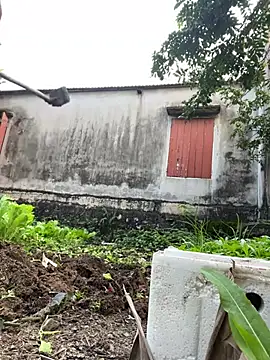 Miumiu95x online show from January 16, 9:35 am