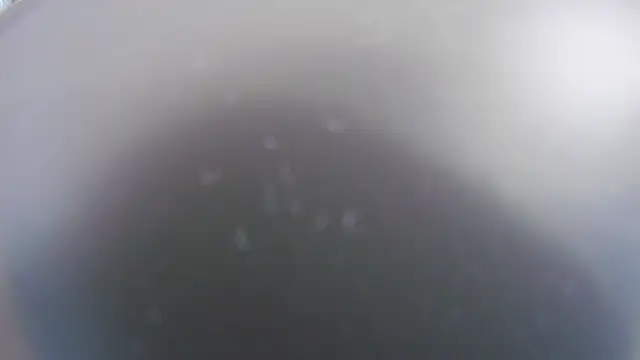 Noah Greenhart online show from January 15, 7:39 pm