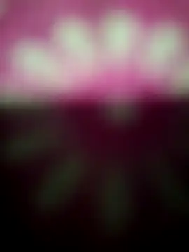 Nandani-758 online show from December 19, 12:17 am