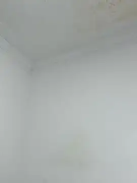  Pamela 1 online show from December 17, 2:39 am