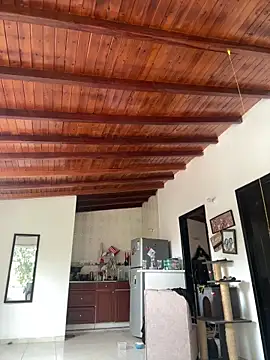 Zahida 7 online show from December 17, 7:20 pm