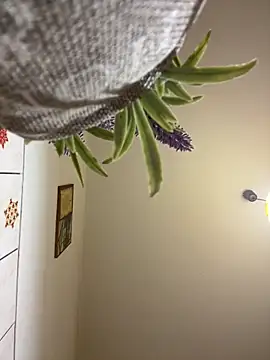 CrazyJessika online show from March 9, 9:08 pm